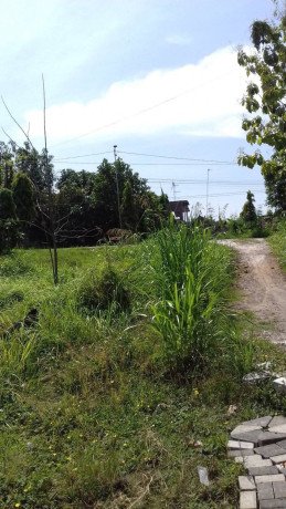 dijual-tanah-pekarangan-murah-lokasi-dalam-kota-bojonegoro-big-1