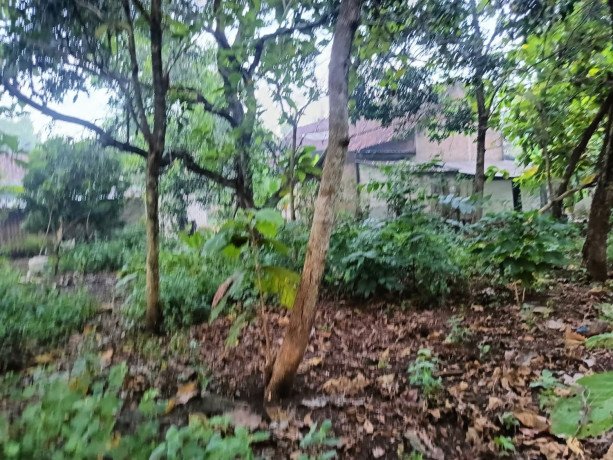 dijual-tanah-pekarangan-desa-kunci-dander-bojonegoro-big-2