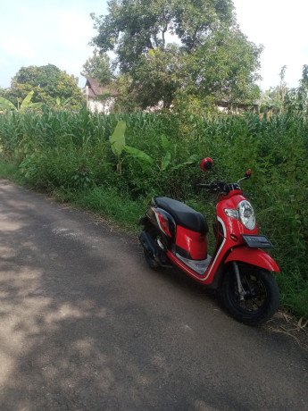 dijual-tanah-shm-lokasi-padat-penduduk-tegalrejo-merakurak-big-0